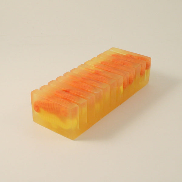 Orange & Lemon (Sea Horses) Fragrant Finds Soaps