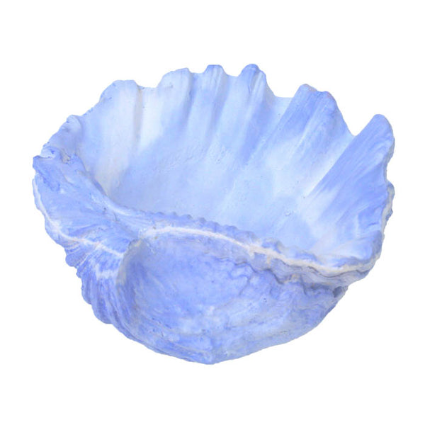 Small Clam Dish Fragrant Finds Air Fresheners