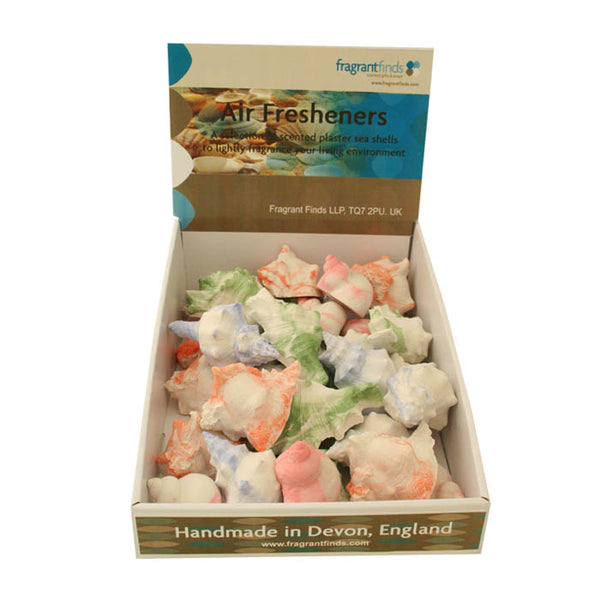 Tray of Large Sea Shells x 48 Fragrant Finds Air Fresheners