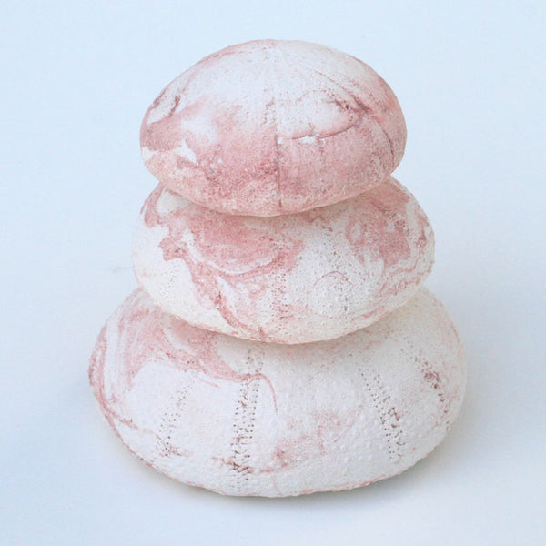 Stacking Sea Urchins Fragrant Finds Air Fresheners